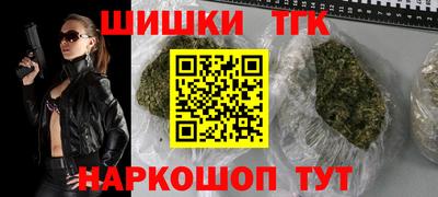 индика Пыть-Ях