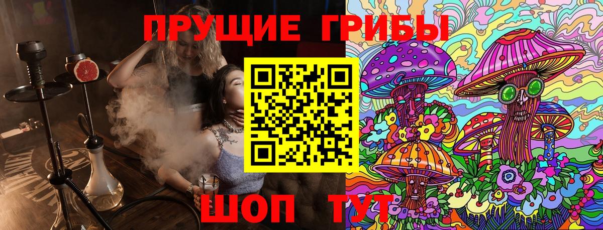 Орск  Галлюциногенные грибы прущие грибы  Псилоцибиновые грибы Psilocybe  Вход с VPN 