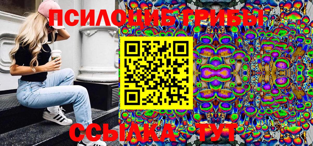 Псилоцибиновые грибы Cubensis Орск